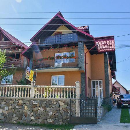 Casa Diana-Maria Daire Curtea de Argeş Dış mekan fotoğraf