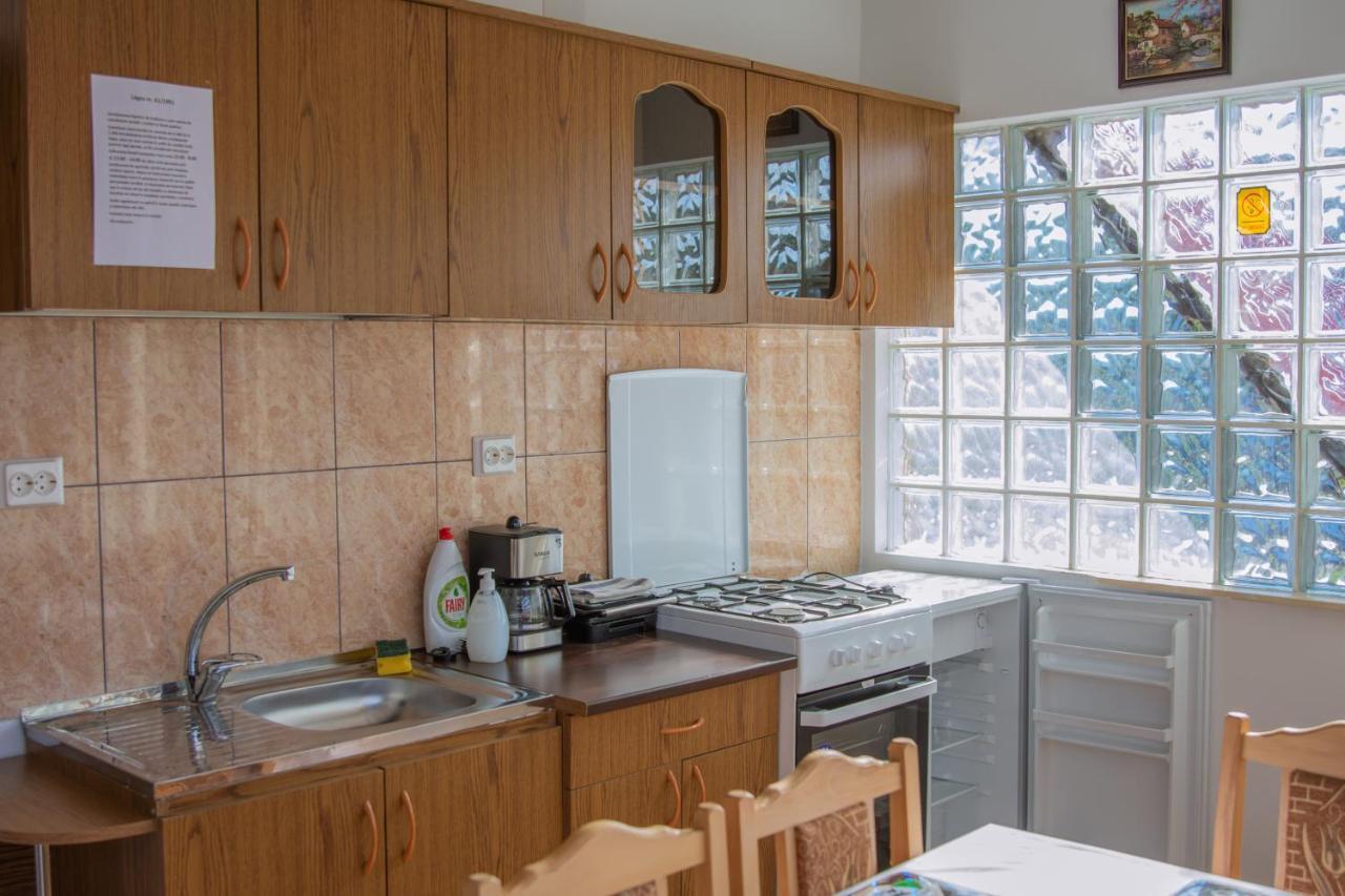 Casa Diana-Maria Daire Curtea de Argeş Dış mekan fotoğraf