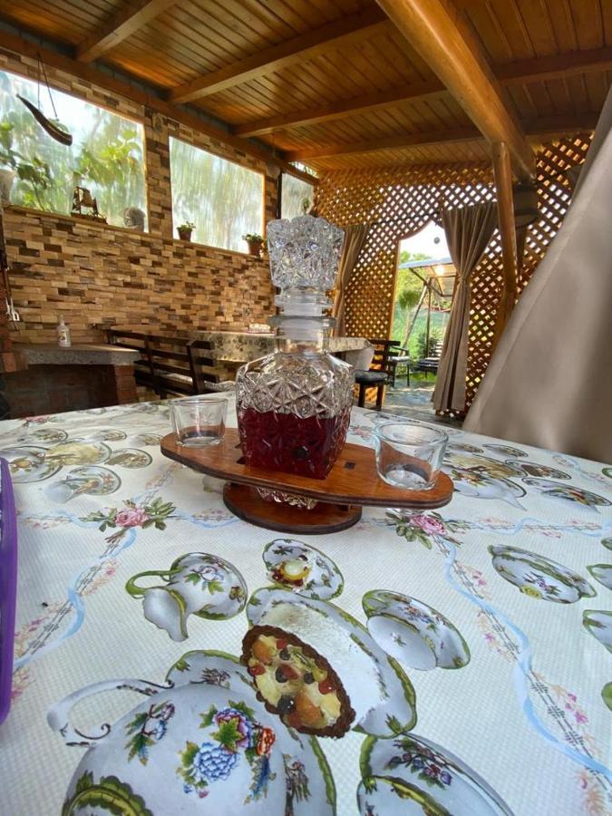 Casa Diana-Maria Daire Curtea de Argeş Dış mekan fotoğraf