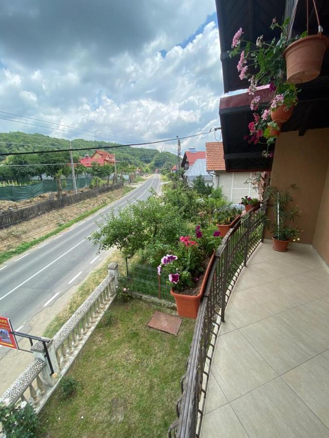 Casa Diana-Maria Daire Curtea de Argeş Dış mekan fotoğraf