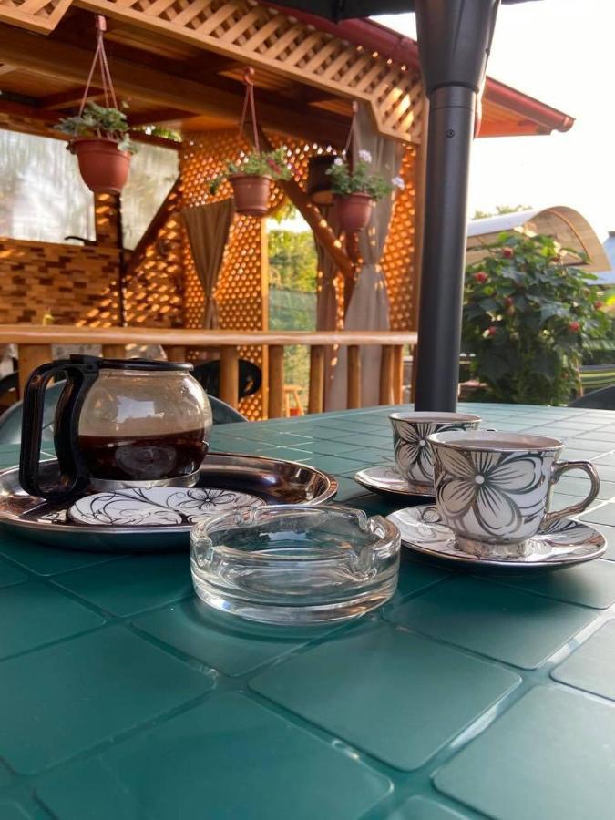 Casa Diana-Maria Daire Curtea de Argeş Dış mekan fotoğraf