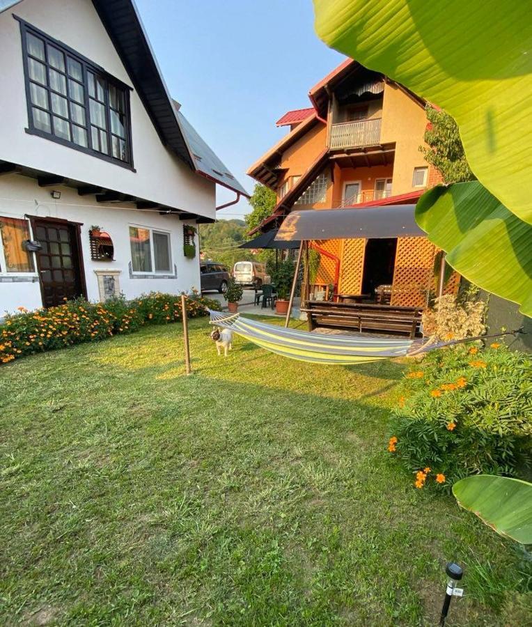 Casa Diana-Maria Daire Curtea de Argeş Dış mekan fotoğraf