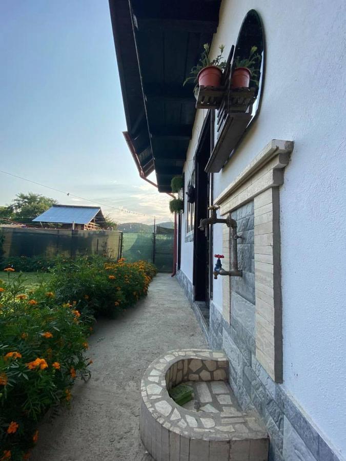 Casa Diana-Maria Daire Curtea de Argeş Dış mekan fotoğraf