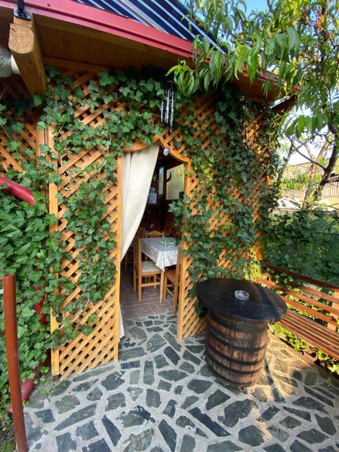 Casa Diana-Maria Daire Curtea de Argeş Dış mekan fotoğraf