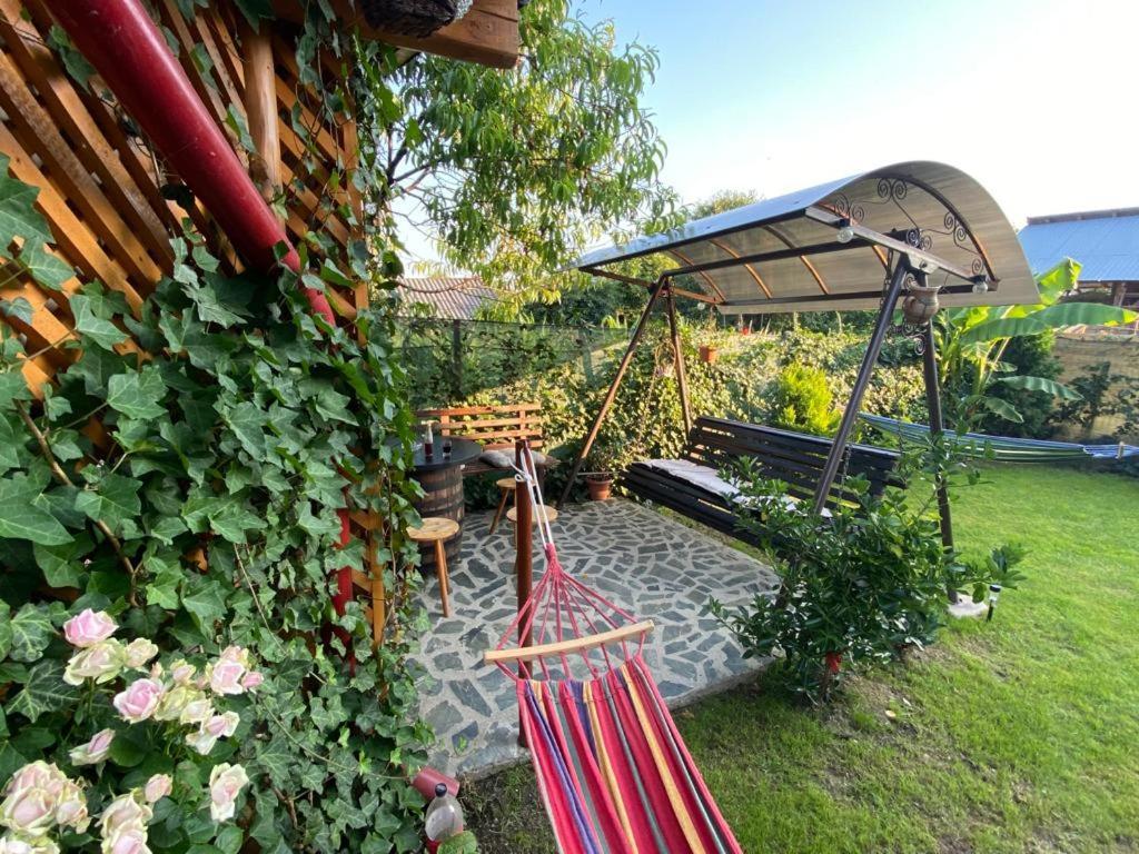 Casa Diana-Maria Daire Curtea de Argeş Dış mekan fotoğraf