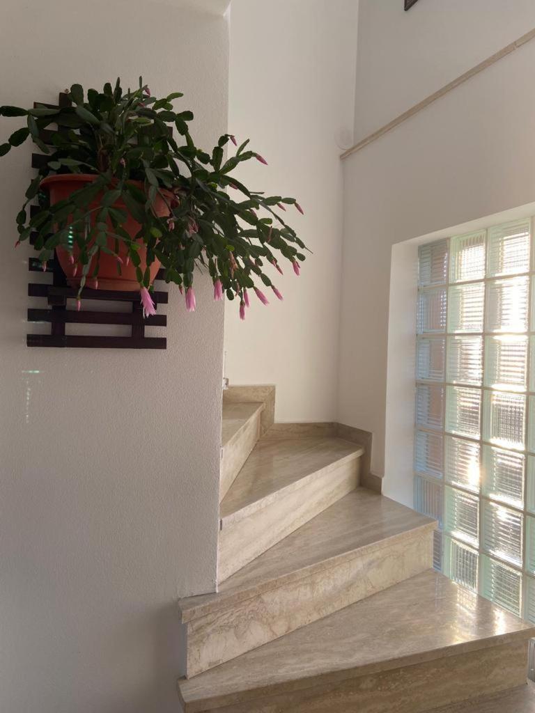 Casa Diana-Maria Daire Curtea de Argeş Dış mekan fotoğraf