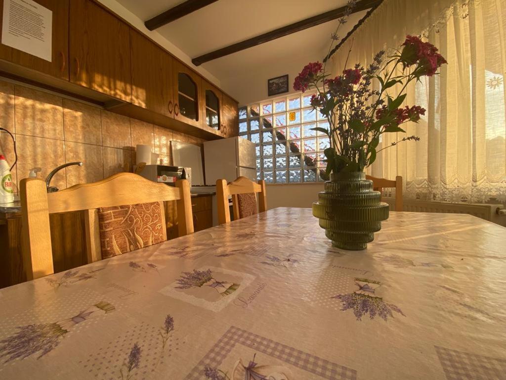 Casa Diana-Maria Daire Curtea de Argeş Dış mekan fotoğraf