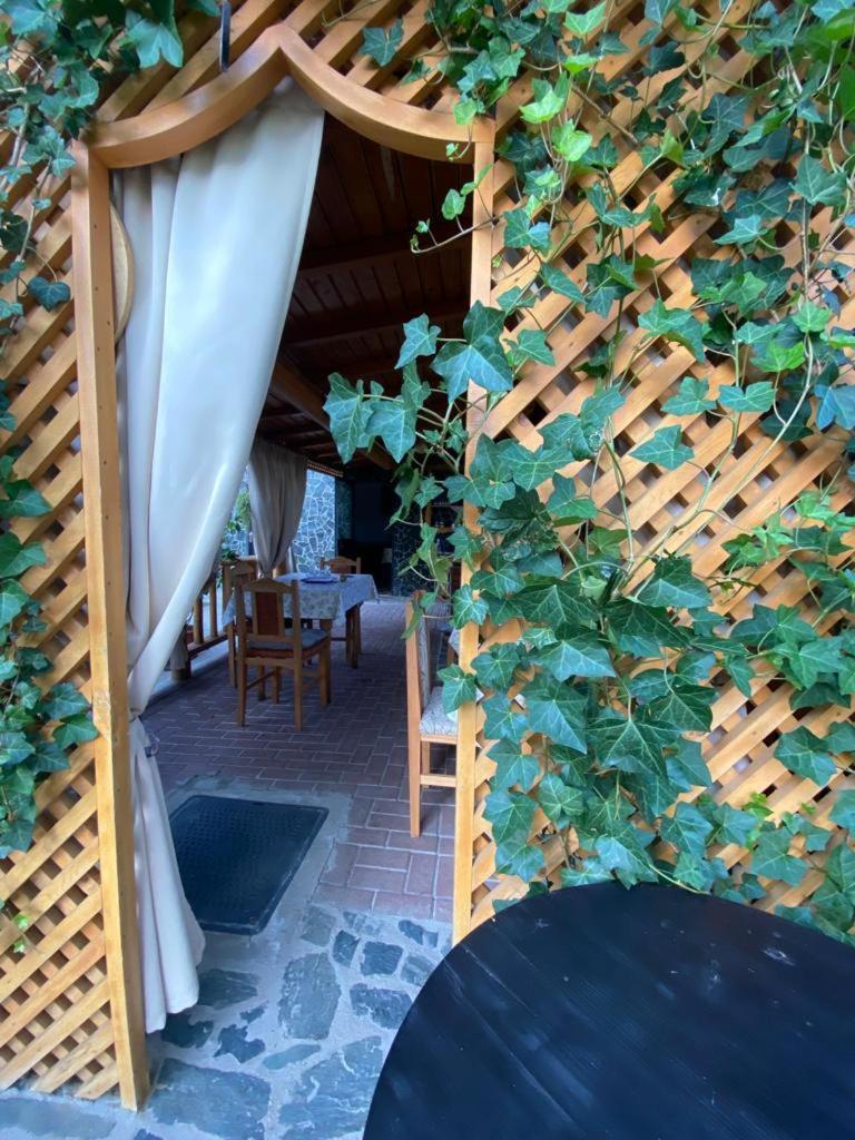 Casa Diana-Maria Daire Curtea de Argeş Dış mekan fotoğraf