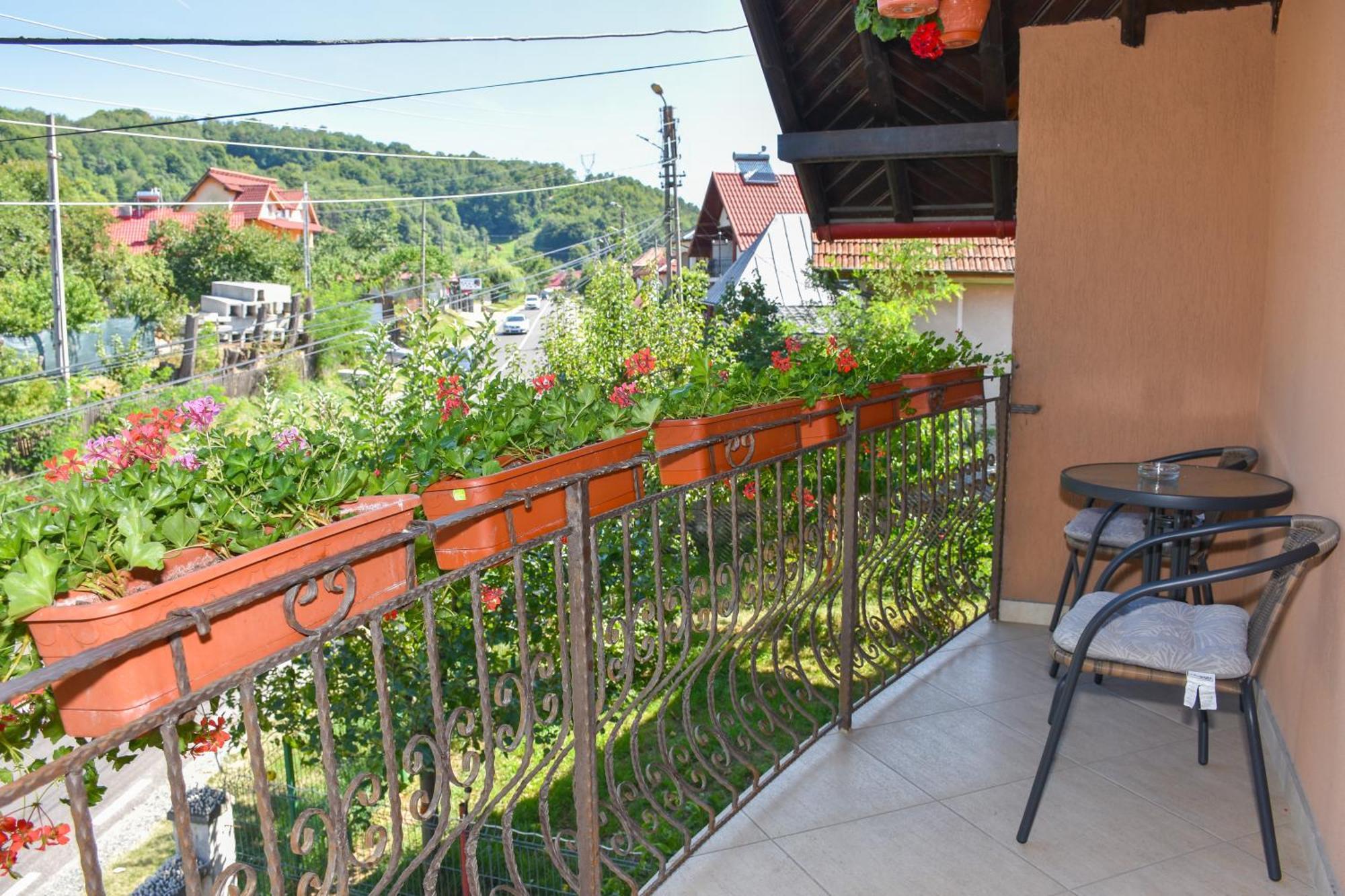 Casa Diana-Maria Daire Curtea de Argeş Dış mekan fotoğraf