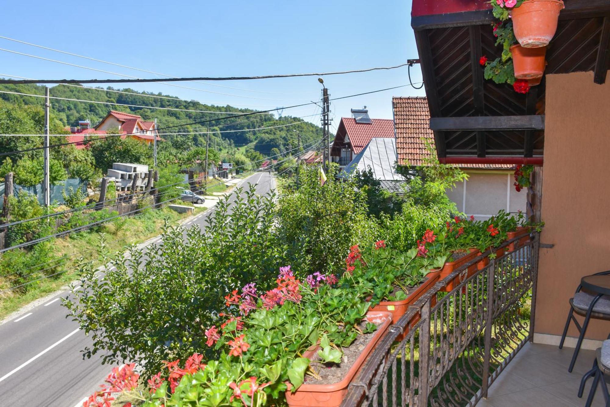 Casa Diana-Maria Daire Curtea de Argeş Dış mekan fotoğraf